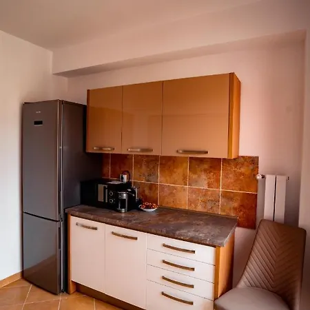 Apartment Elite Sinaia
