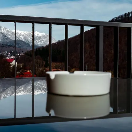 Elite Apartment Sinaia